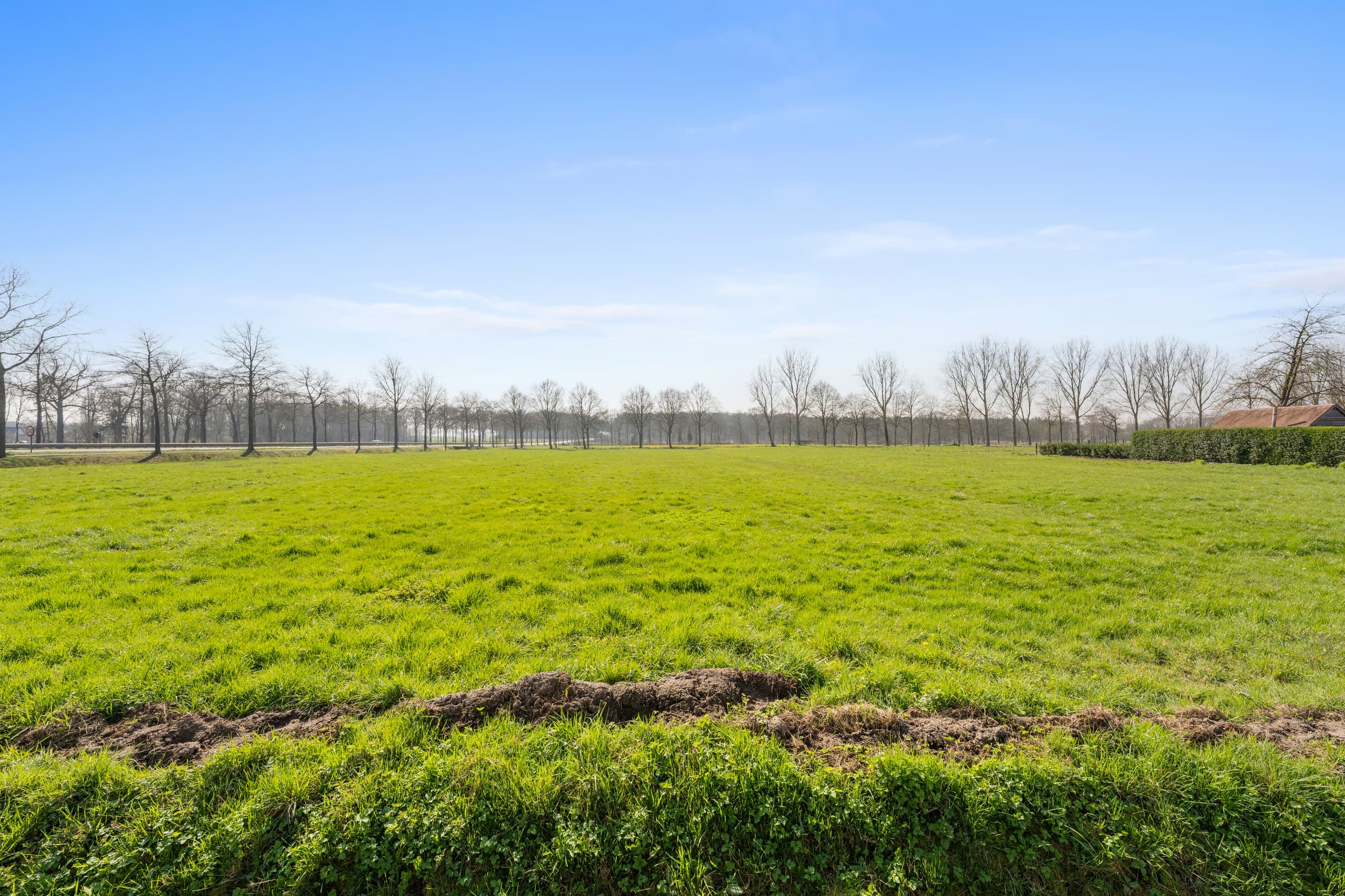 Huis te koop