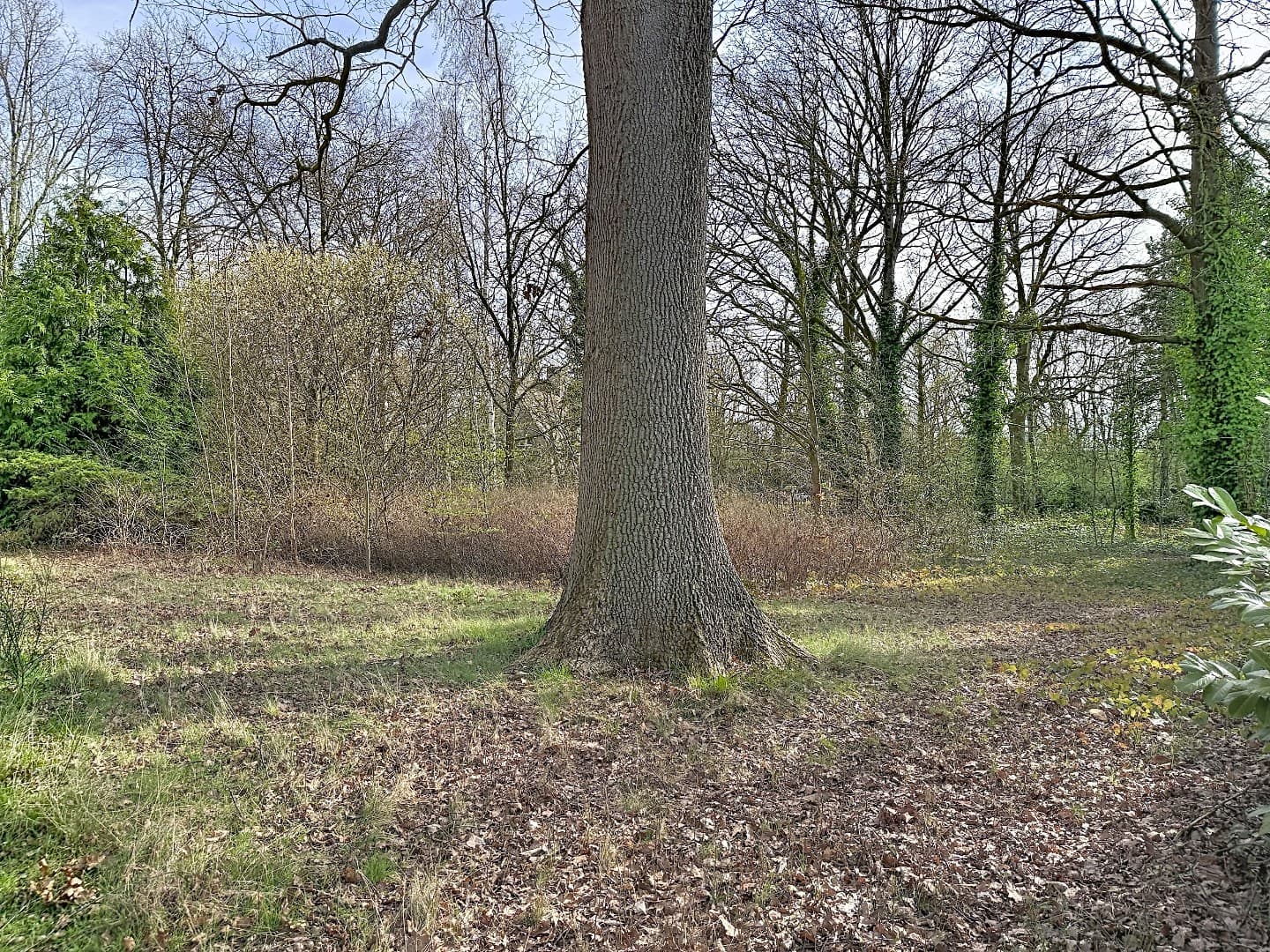 Grond te koop