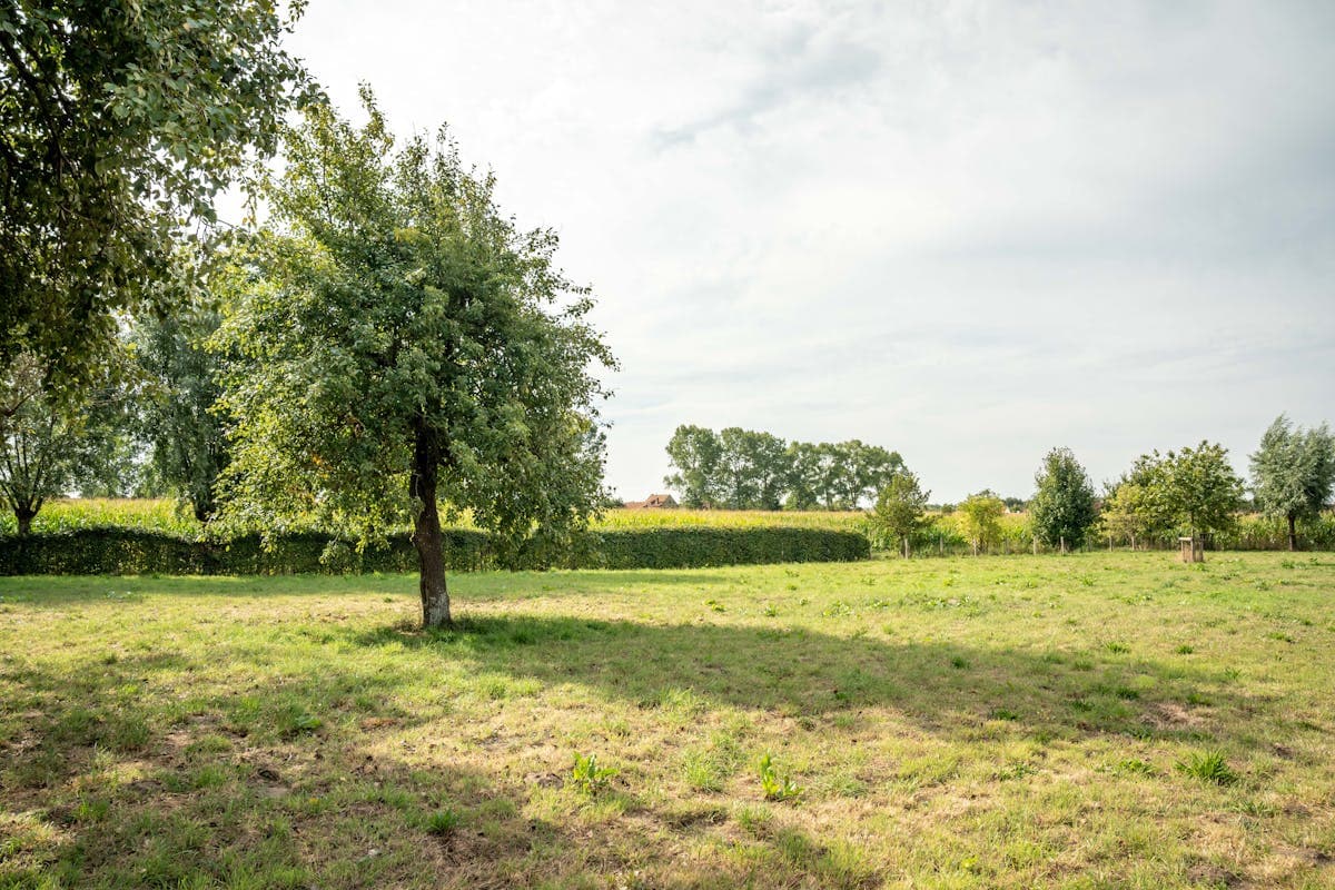 Huis te koop