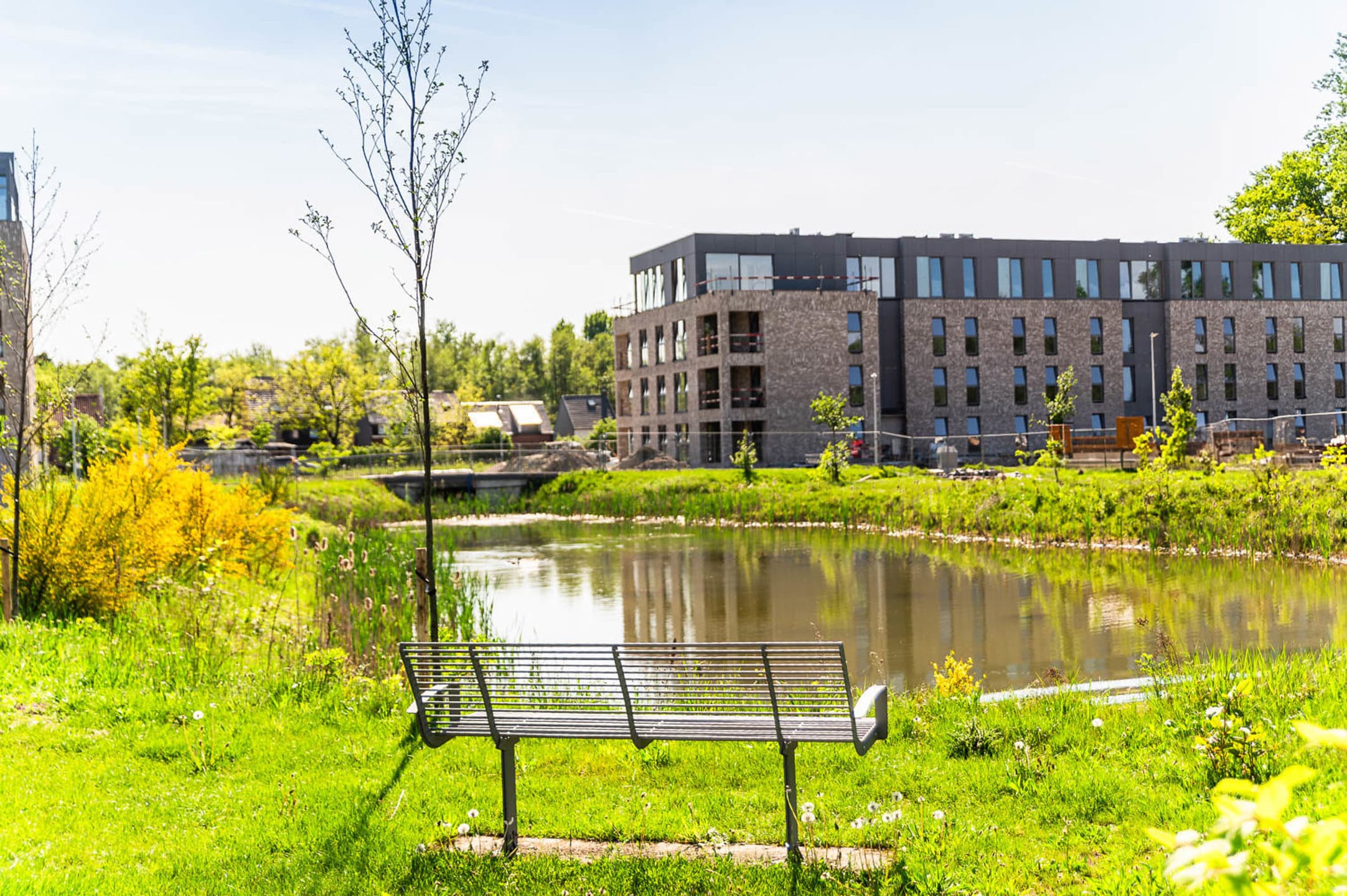 Project te koop in Leopoldsburg