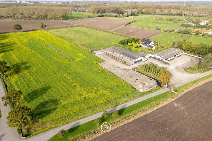 Damme polders