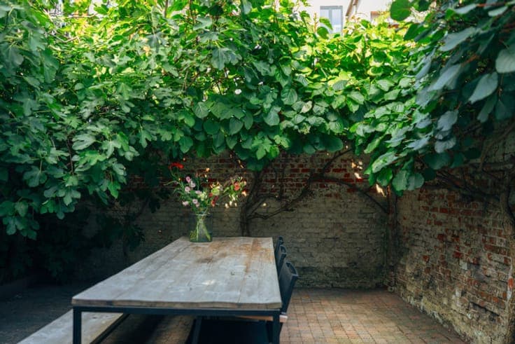 A preserved townhouse with a patio and a roof terrace