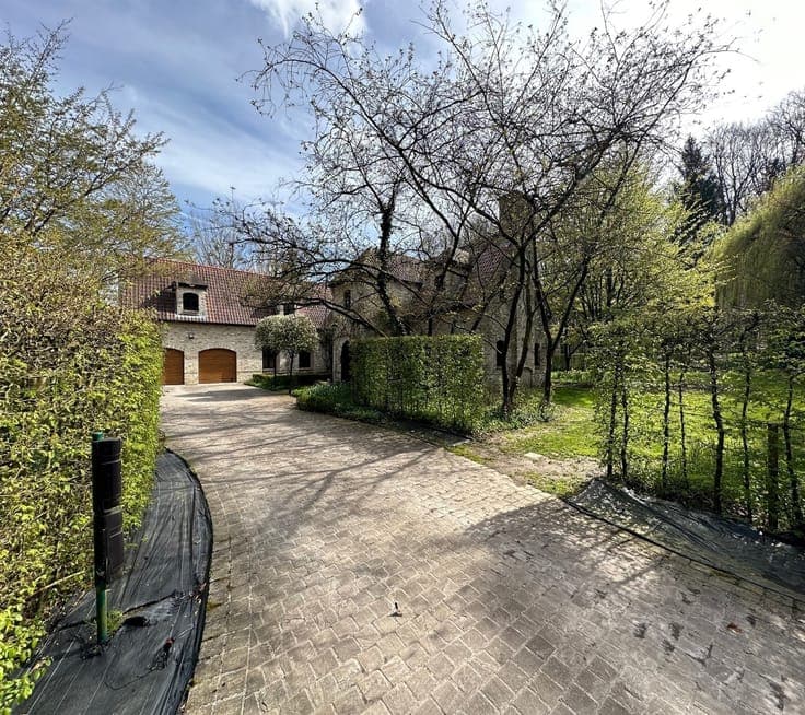 Appearance property