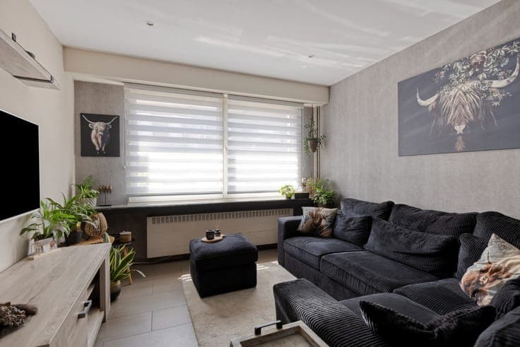 House in Schoten