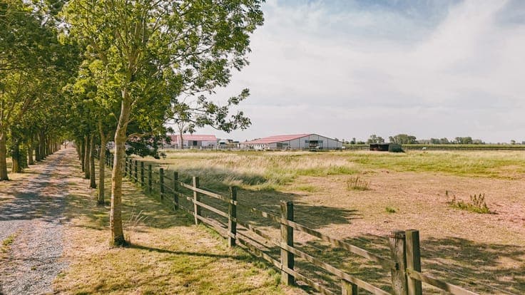 ALVERINGEM - Uniek gelegen professionele hippische eigendom