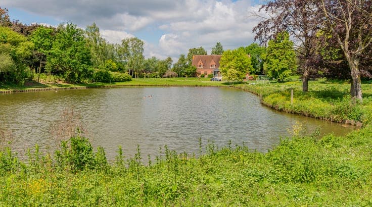 Villa with great potential on large plot in Lennik