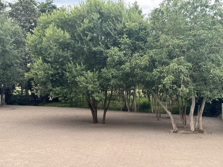 nieuwe verkaveling te Lebbeke