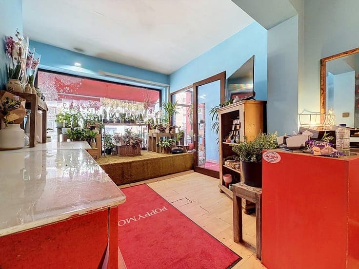 Mixed-use investment property, 250 m² (retail space and dupl