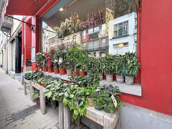 Mixed-use investment property, 250 m² (retail space and dupl