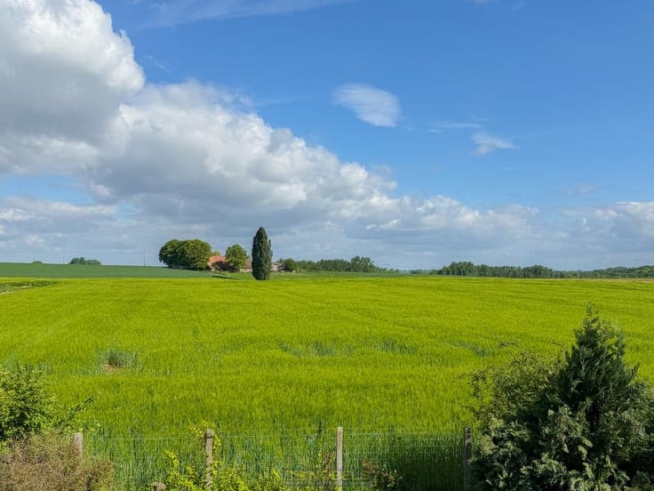Te koop, Landelijk gelegen open bebouwing met open verzic...