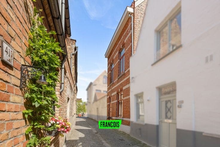 Stylish and energy-efficient city house in Bruges