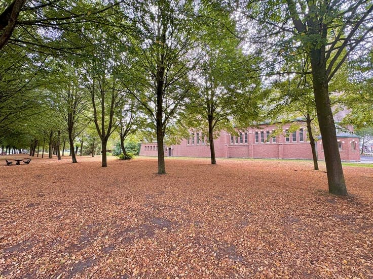 House in Evergem