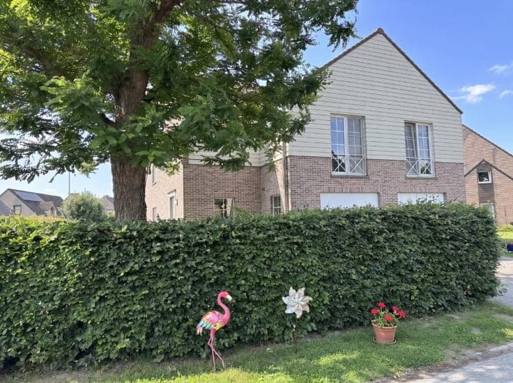 House in Lokeren