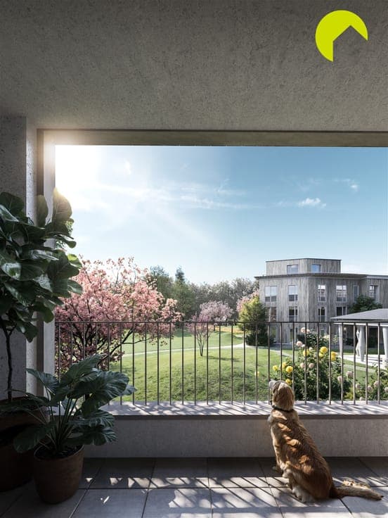 Benedicte, Coming home to a green oasis in Mortsel Village!