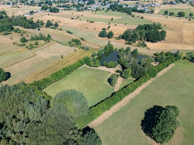 Fishing cabin on 2 hectares with a pond near Bastogne