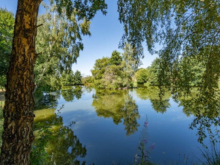 Fishing cabin on 2 hectares with a pond near Bastogne