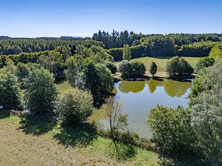 Fishing cabin on 2 hectares with a pond near Bastogne