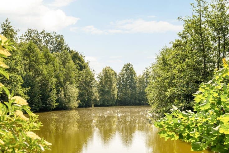 Exclusive villa along a scenic Scheldt branch