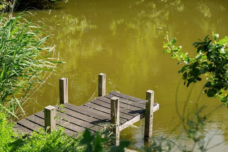Exclusive villa along a scenic Scheldt branch