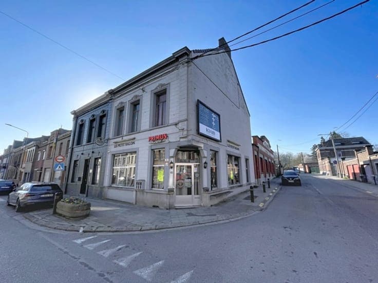 Mixed building: business, reception room and apartment
