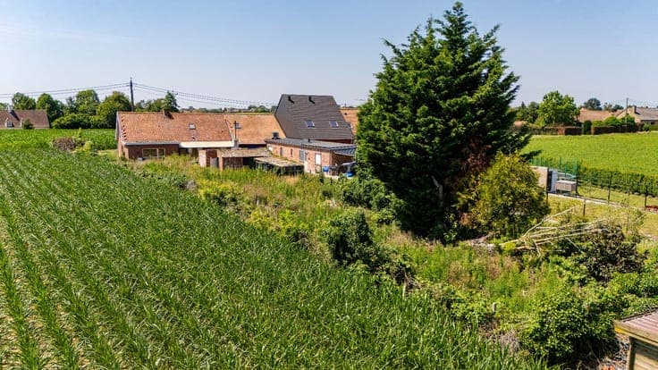 House in Tielt