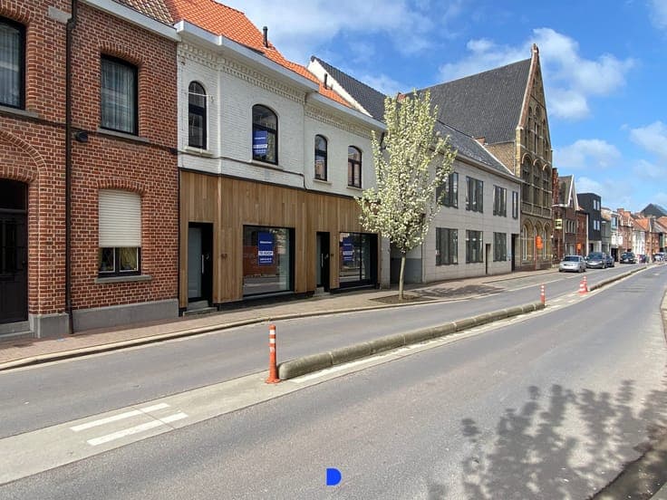 Stijlvol gerenoveerde woning met lichtrijke leefruimtes e...