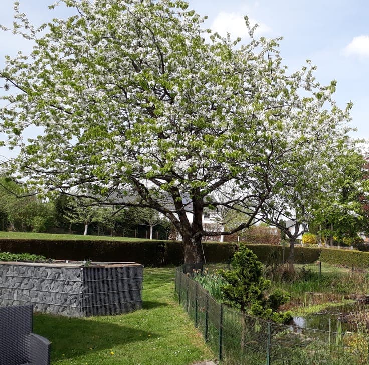 House in Arlon
