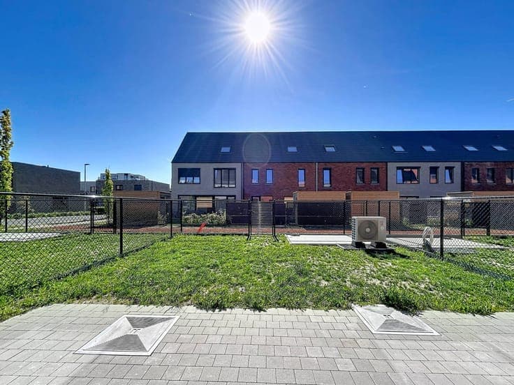 Ter Boom - Colibrilei (Phase 3)