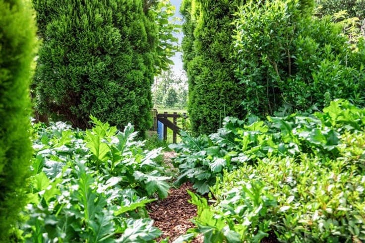 Beautiful semi-detached home with an extensive meadow