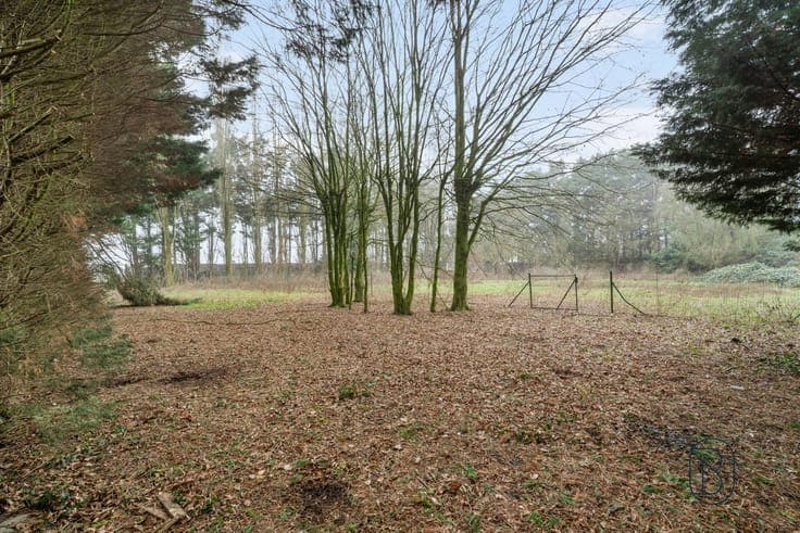 Charmante te renoveren woning, met mooie tuin.