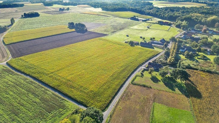 BREE - Charmante villa met grote aanbouw en stalgebouw op 2h