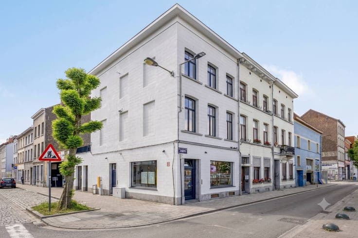 Renovated Townhouse with Commercial Space & Canal View for S