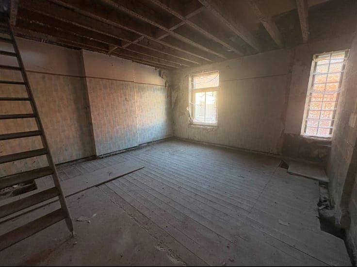 House to renovate, new roof