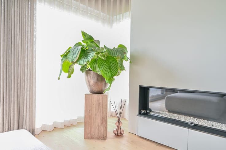 Prachtige villa met zwembad en poolhouse op toplocatie in...