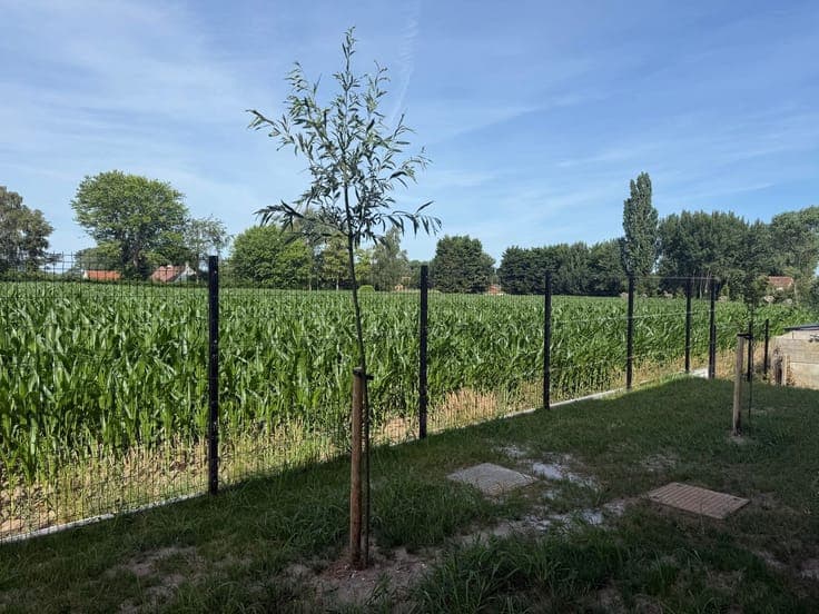 Bijzondere loftwoning binnen KMO-omgeving