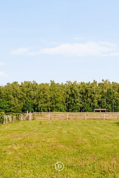 Bulskampveld