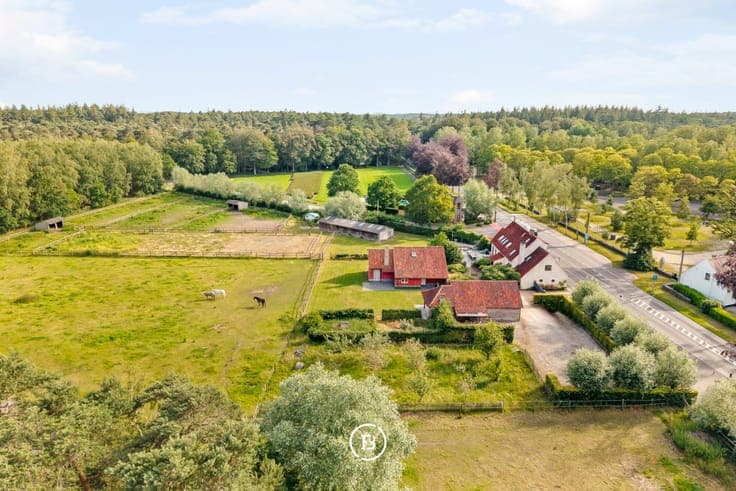 Bulskampveld
