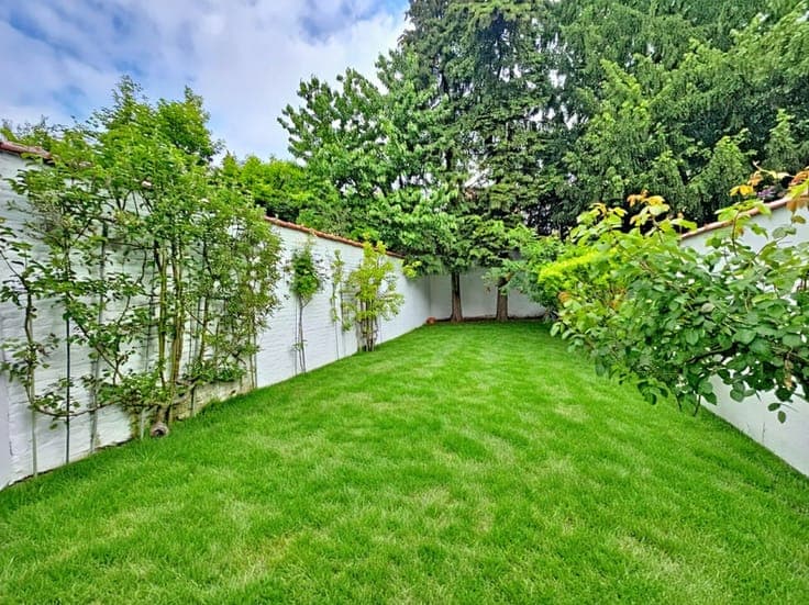 6-bedroom mansion with garden