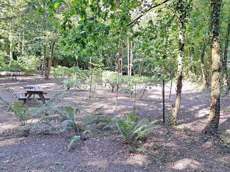 terrain