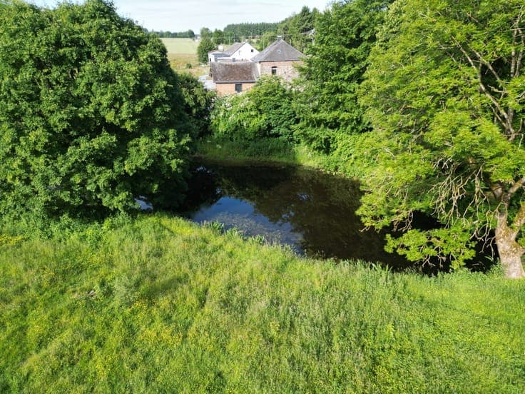 Single-storey property on 1.5 hectares in a residential area