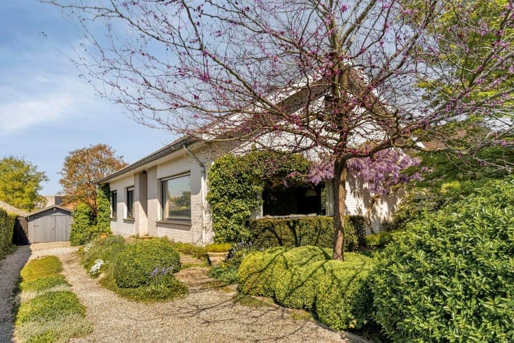 House in Asse