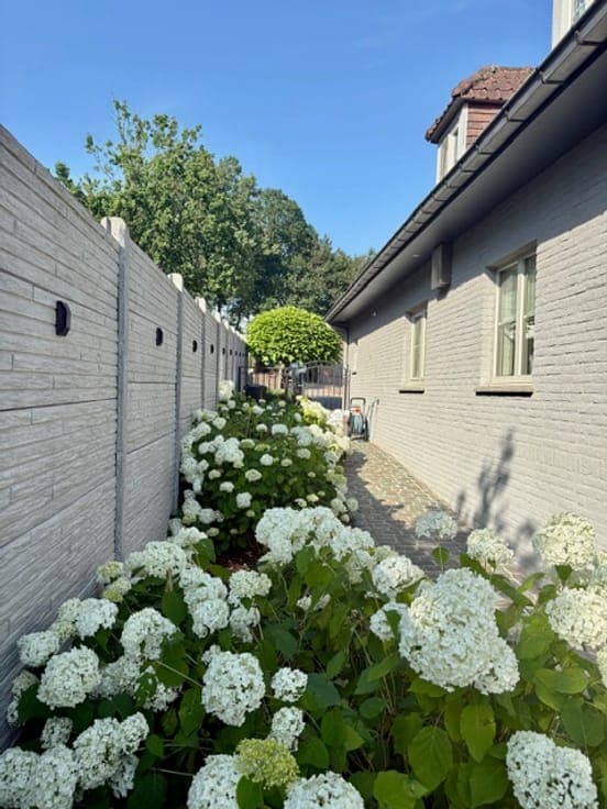 House in Affligem