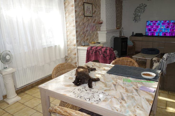 Investment property in Courcelles Trazegnies