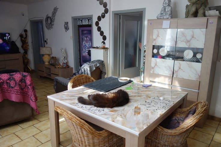 Investment property in Courcelles Trazegnies