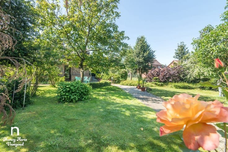 Investment property in Beringen Koersel