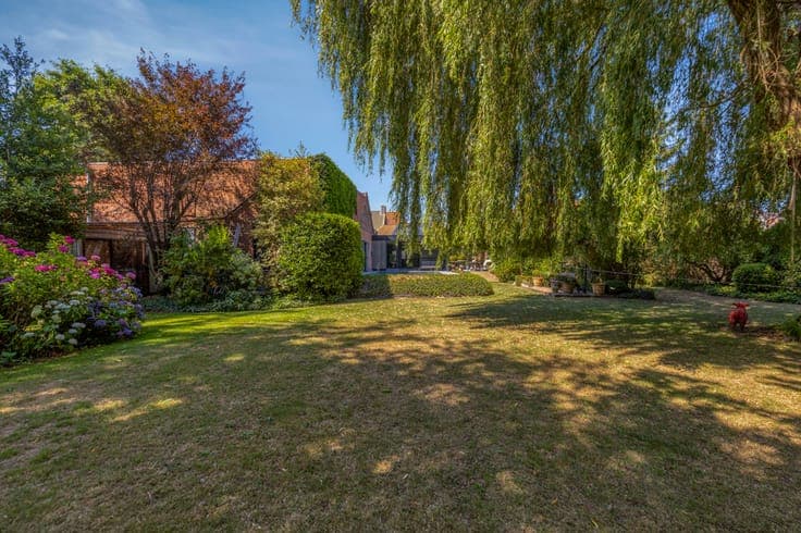 Surprising green gem near the center of Overmere