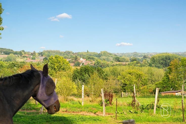 Stunning country villa on 7,248 m² in Ellezelle