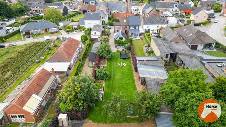 LEDE - Instapklare woning met stallen op 41are