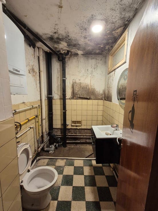 Building to renovate: 3 apartments, 2 garages, 3 cellars