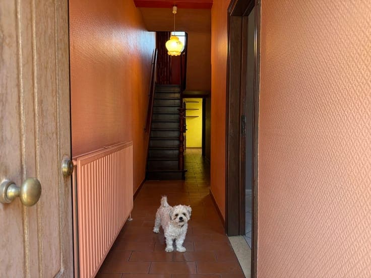 Charming house to renovate in Liège
